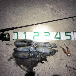 2021 佐渡ヶ島エギング 19回目