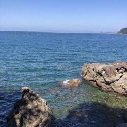 エギング&フカセ