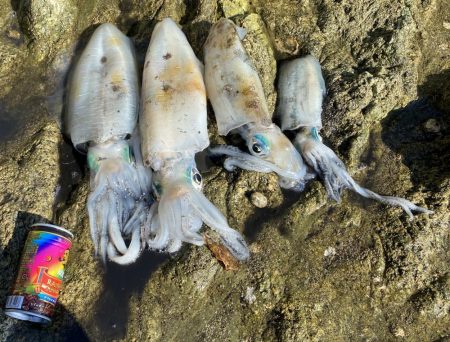 やっとティップランで！