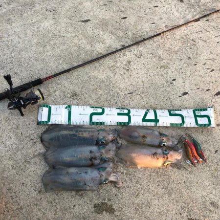 2021 佐渡ヶ島 エギング 24回目