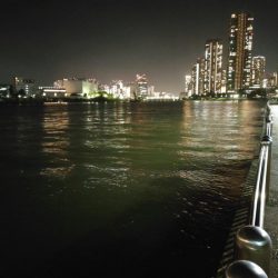 会社帰り釣行は激熱だった!