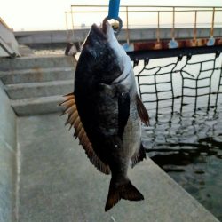 まだまだトップで