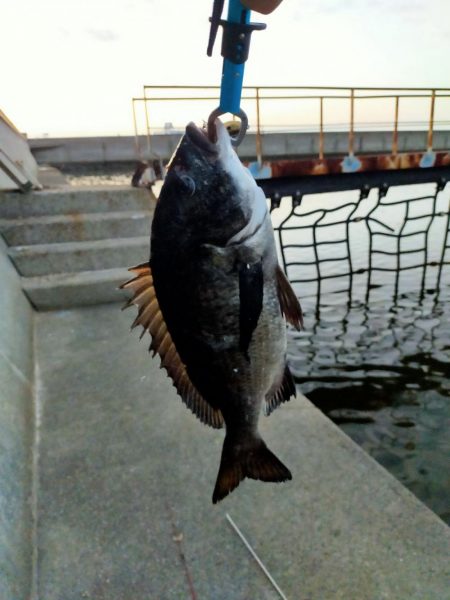 まだまだトップで