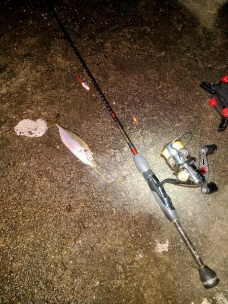 やっとシーズンインか？