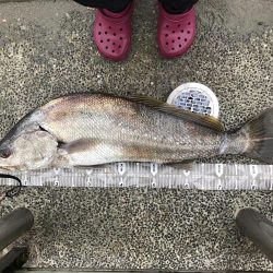 初御前崎サーフ