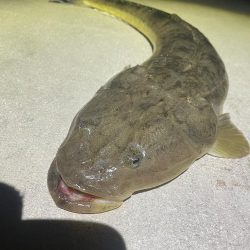 誰もいない堤防にて