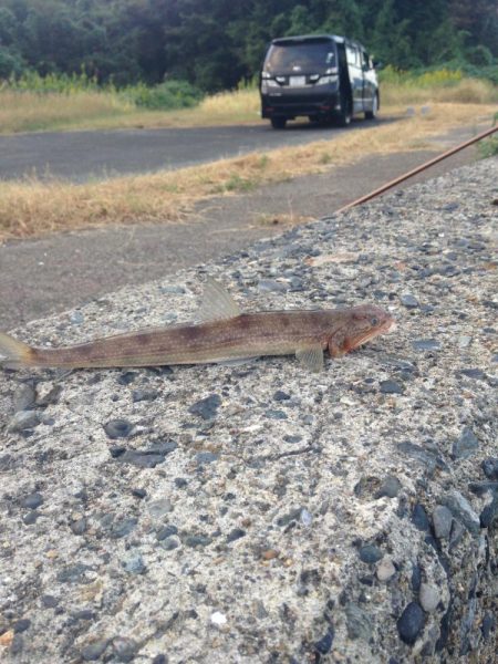 狙い通りの釣果！