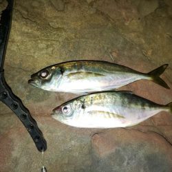 フロートゲーム～