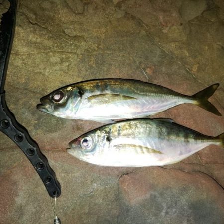 フロートゲーム～