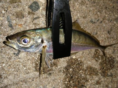 豆アジも考えを変えれば