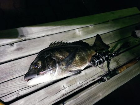 アジングしてたら…