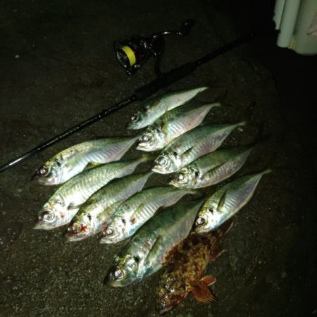 (尺アジ)フロートゲーム