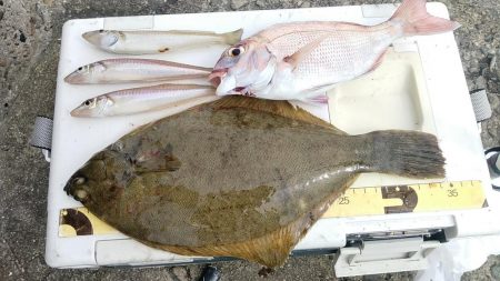 最後にドラマが