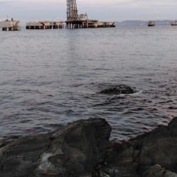 フカセ‥最高ですネ・・