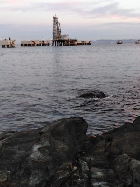 フカセ‥最高ですネ・・