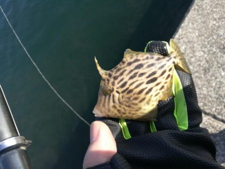 2021/10/30 須磨海岸～漁港ちょい…