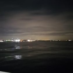 アジングタックルでランカー