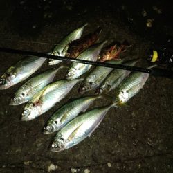 (尺アジ)フロートゲーム