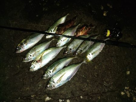 (尺アジ)フロートゲーム