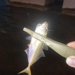 ボトムのアジングが釣れるのはなぜ？