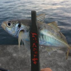 時合を狙い撃ち