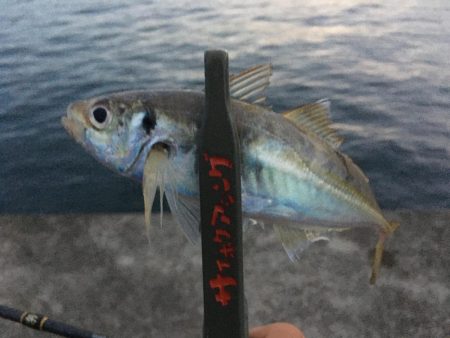 時合を狙い撃ち