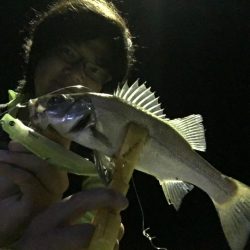 A.P.Pフィッシングガイドサービス テスト場にて、新型ミノーテスト中にRIDEONとなる!