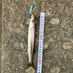 ダイソージグでULSJ!