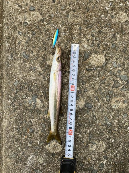 ダイソージグでULSJ!