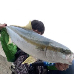 A.P.Pフィッtシングガイドサービス　久しぶりの夕マズメの釣行にて、ヒラマサRIDEONとなる