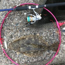 青物は不発だけど