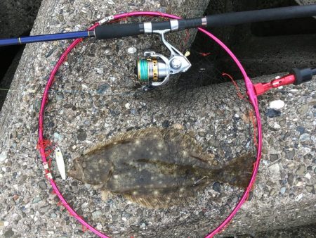 青物は不発だけど