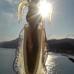 何があったんだ⁉️