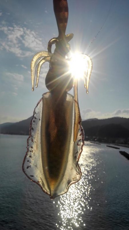 何があったんだ⁉࿠…