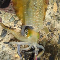 南風強くてヤバい❗