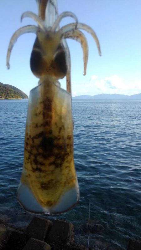 潮動かず・・⤵️…