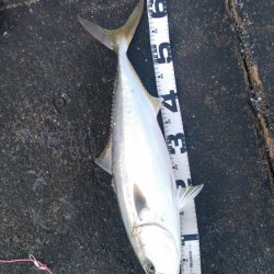 そこまででわ！