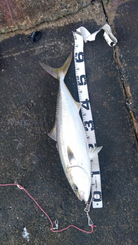 そこまででわ！