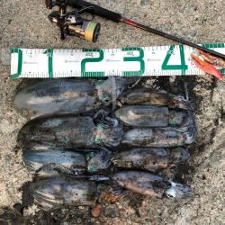 2021 佐渡ヶ島エギング 22回目