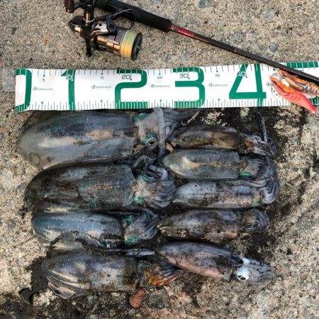 2021 佐渡ヶ島エギング 22回目