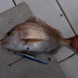 久々オフショア