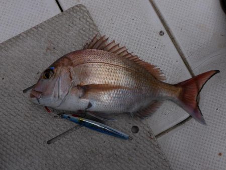 久々オフショア