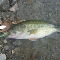 風がありました