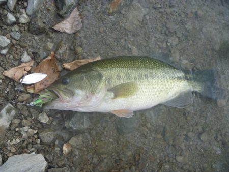 風がありました