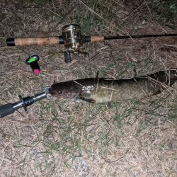 減水した川と新しいルアー