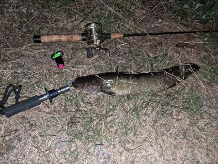 減水した川と新しいルアー