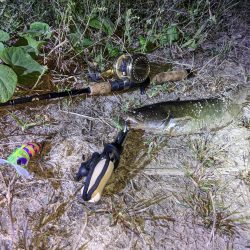 ガセネタ（笑）