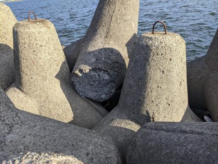 誰でも釣れる〜メジロ祭