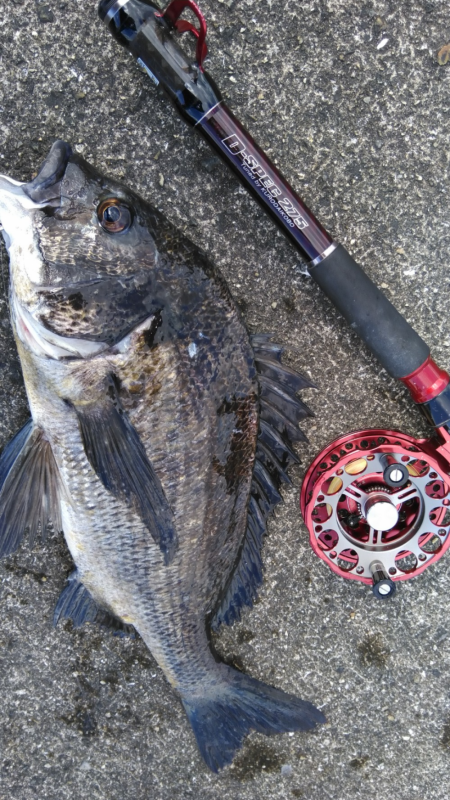 チヌと目が合いドキッ！