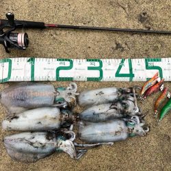 2021佐渡ヶ島 エギング 31回目